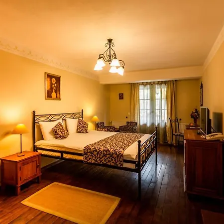 Hotel Turnul 3*