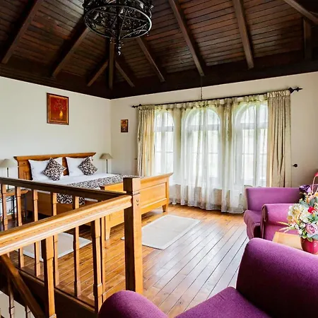 Hotel Turnul